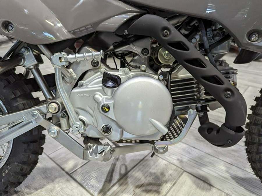 2024 Kawasaki KLX110R