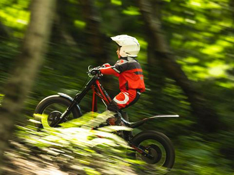 2024 Oset Electric Bikes TXP-20