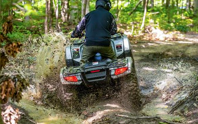 2025 Honda FourTrax Rubicon 700 4x4 Automatic