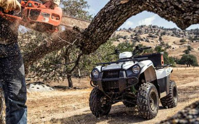 2016 Kawasaki Brute Force 300