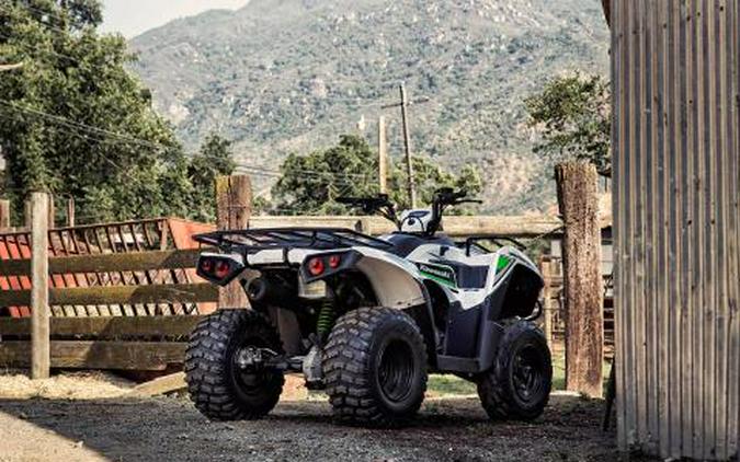 2016 Kawasaki Brute Force 300