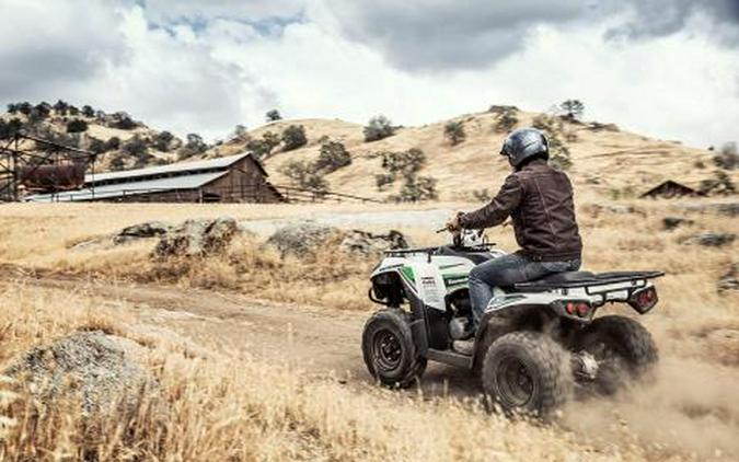 2016 Kawasaki Brute Force 300