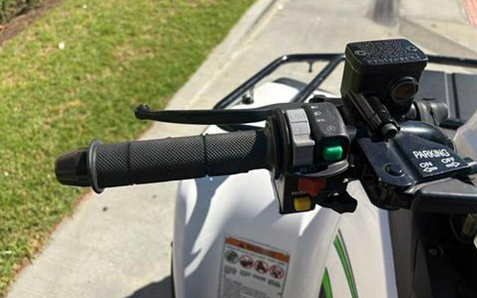 2016 Kawasaki Brute Force 300