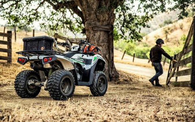 2016 Kawasaki Brute Force 300