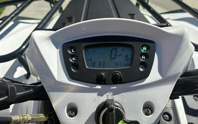 2016 Kawasaki Brute Force 300