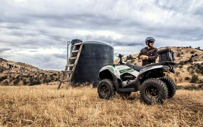 2016 Kawasaki Brute Force 300