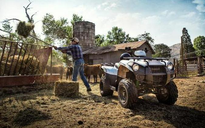 2016 Kawasaki Brute Force 300