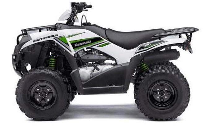 2016 Kawasaki Brute Force 300