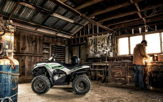 2016 Kawasaki Brute Force 300