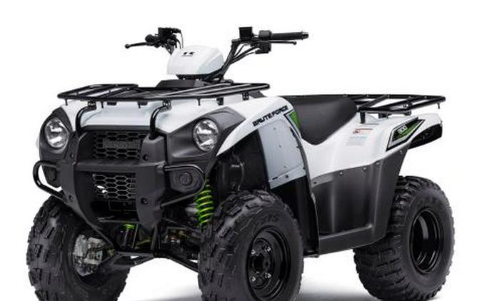 2016 Kawasaki Brute Force 300