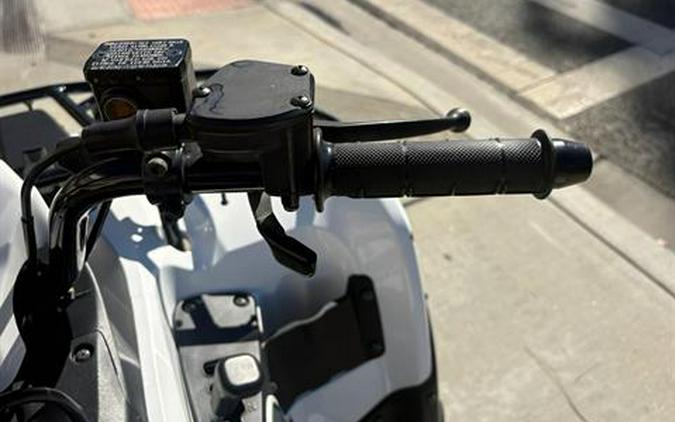 2016 Kawasaki Brute Force 300