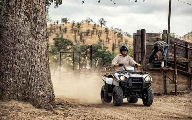 2016 Kawasaki Brute Force 300