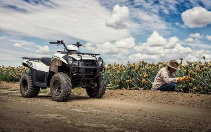 2016 Kawasaki Brute Force 300