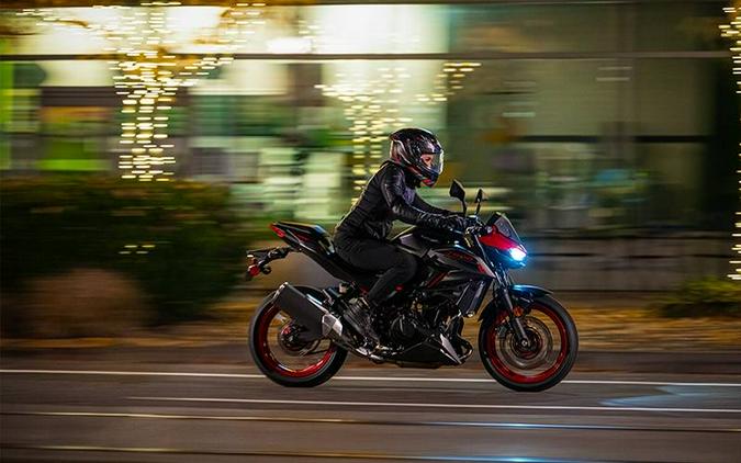 2025 Kawasaki Z500 SE ABS