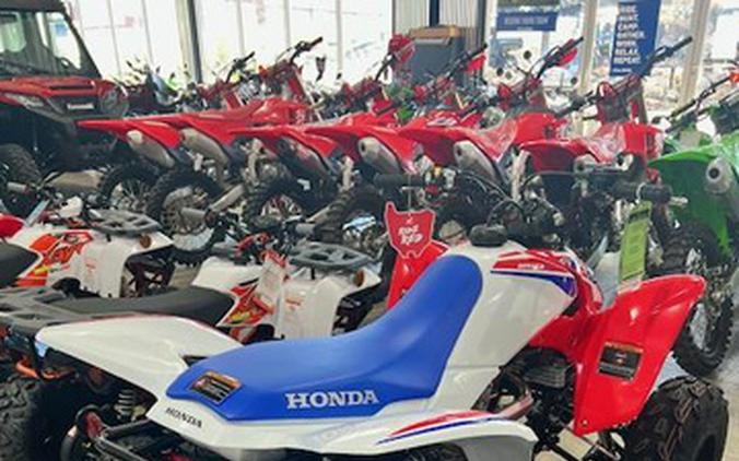 2026 Honda TRX 250X