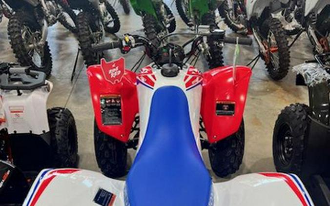 2026 Honda TRX 250X