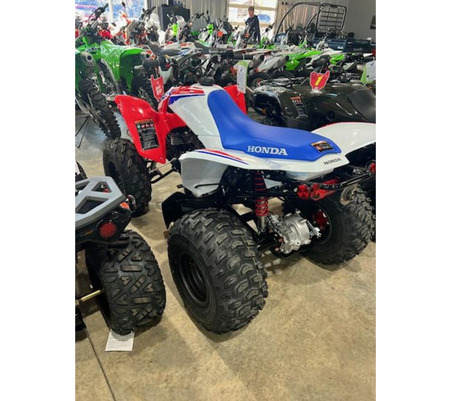 2026 Honda TRX 250X