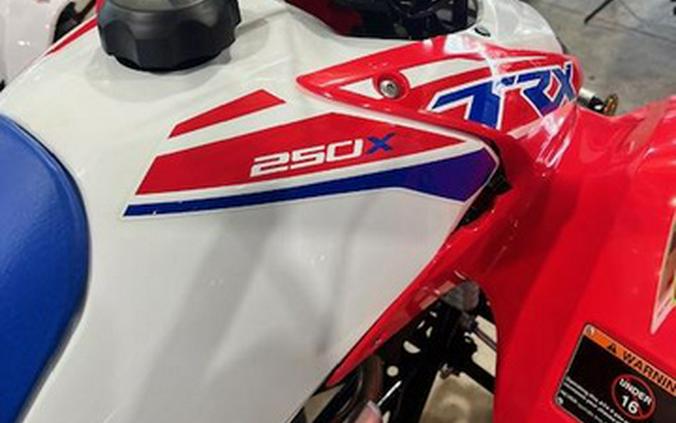 2026 Honda TRX 250X