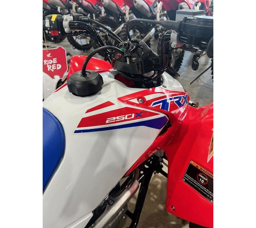 2026 Honda TRX 250X