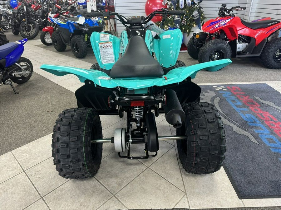 2024 Yamaha Raptor 110