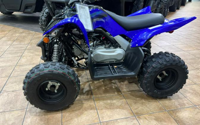 2024 Yamaha Raptor 110