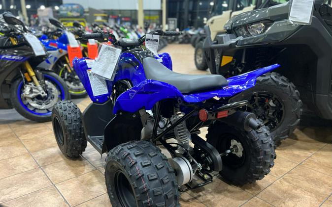 2024 Yamaha Raptor 110