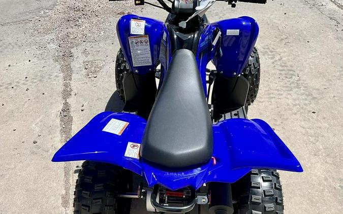 2024 Yamaha Raptor 110