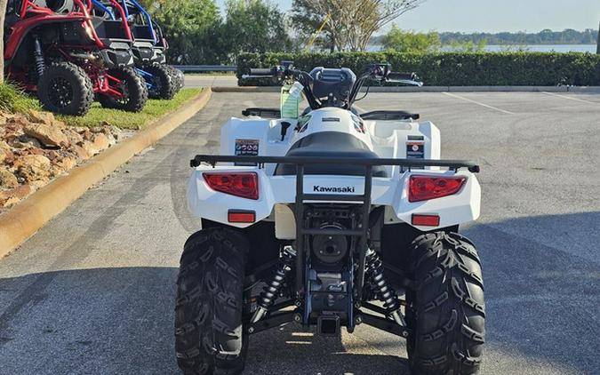 2025 Kawasaki Brute Force 450 4x4