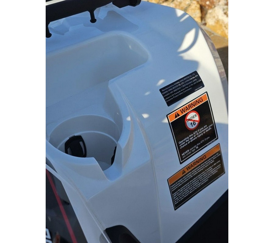 2025 Kawasaki Brute Force 450 4x4