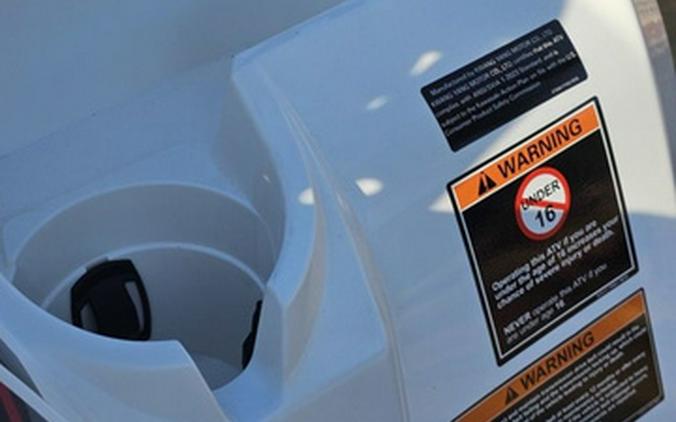 2025 Kawasaki Brute Force 450 4x4