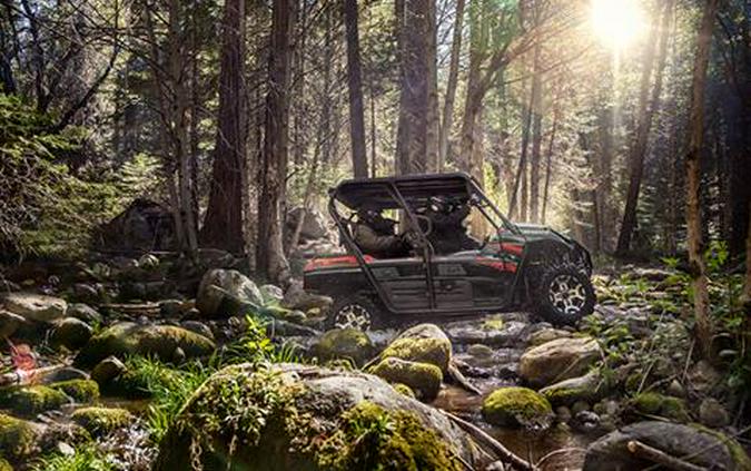 2019 Kawasaki Teryx4 LE