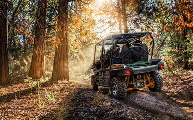 2019 Kawasaki Teryx4 LE