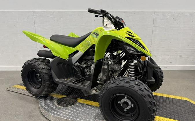 2026 Yamaha Raptor 110