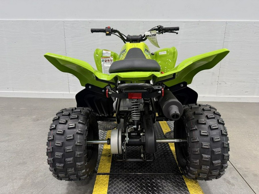 2026 Yamaha Raptor 110
