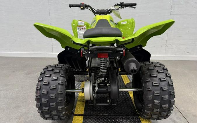 2026 Yamaha Raptor 110