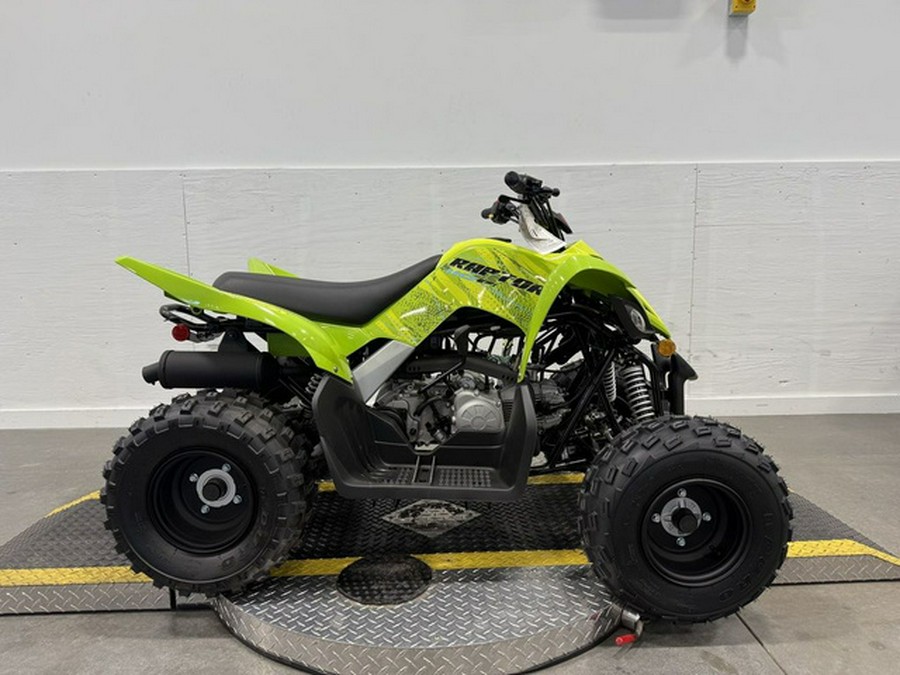 2026 Yamaha Raptor 110