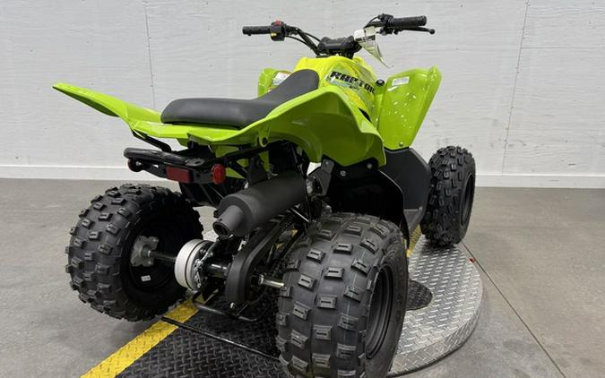 2026 Yamaha Raptor 110