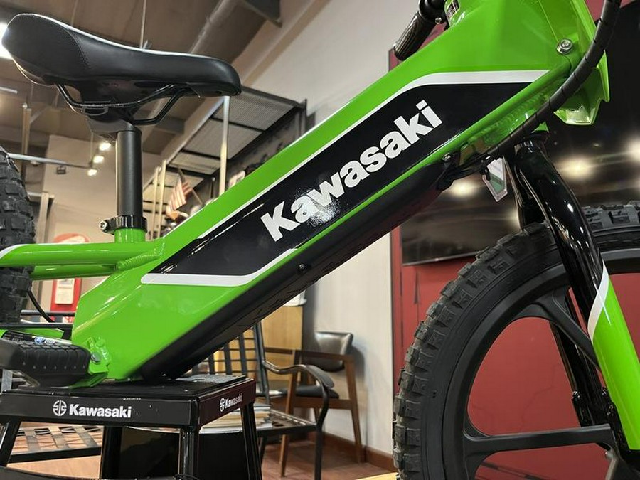 2023 Kawasaki Elektrode™