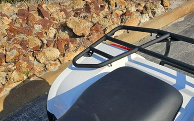 2025 Kawasaki Brute Force 450 4x4