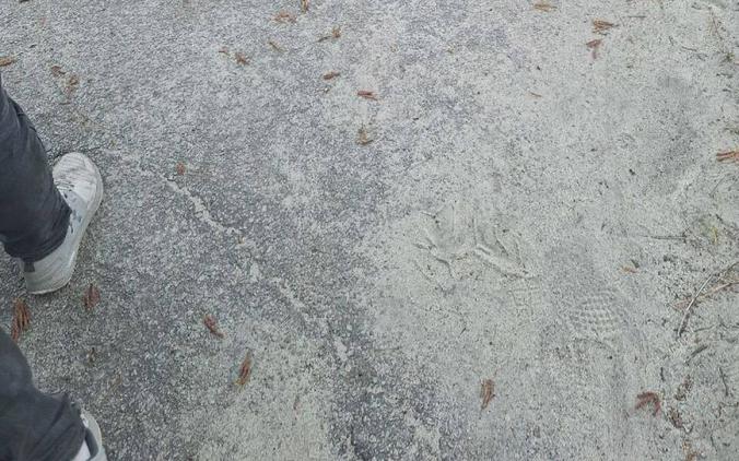 2017 Harley-Davidson FLTK LIMITED TOURING