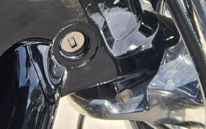 2024 Harley-Davidson Softail® Standard