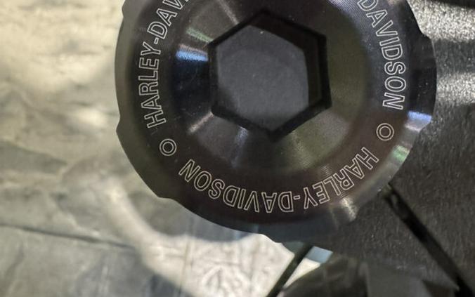 2024 Harley-Davidson Low Rider S