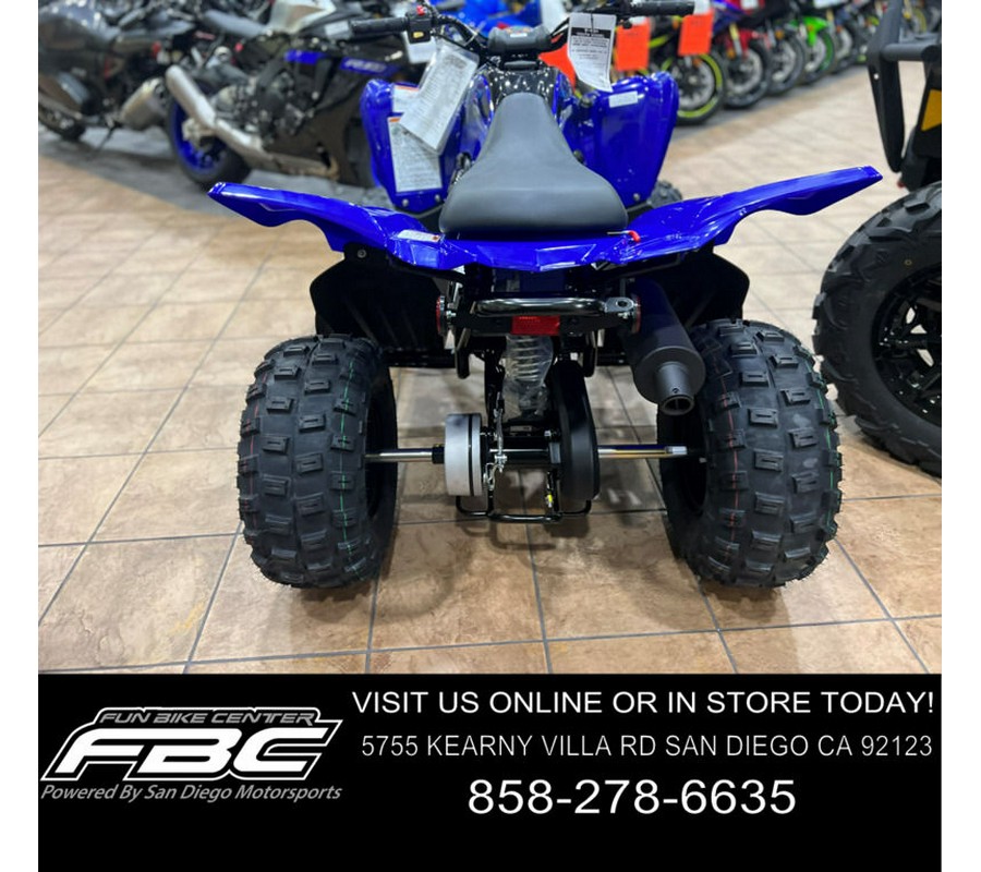 2024 Yamaha Raptor 110