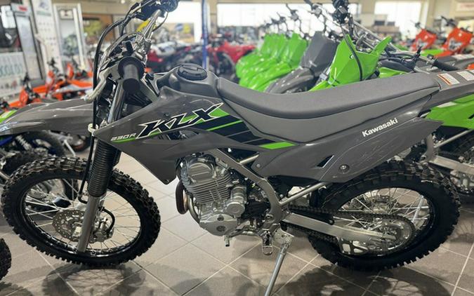 2025 Kawasaki KLX230R