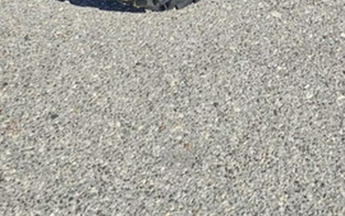 2026 Kawasaki Mule SX 4x4