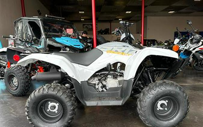 2024 Yamaha Grizzly 90