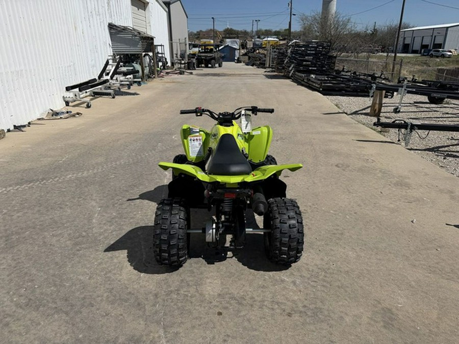 2026 Yamaha Raptor 110