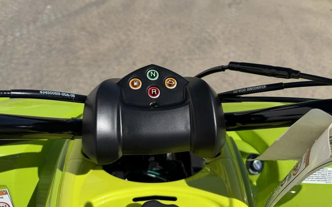 2026 Yamaha Raptor 110