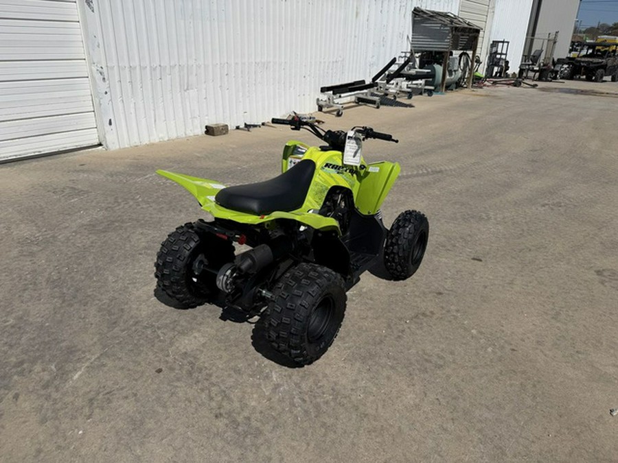 2026 Yamaha Raptor 110
