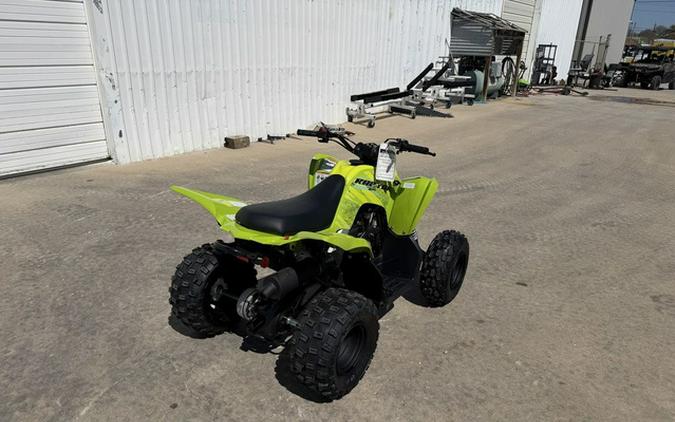 2026 Yamaha Raptor 110